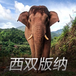 米兰app·体育登录入口